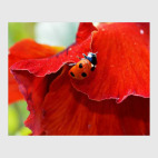 Постер 20 х 25 см Леди в красном