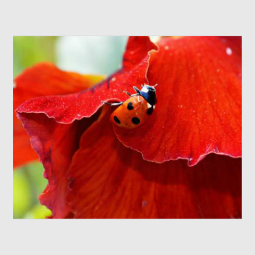 Постер с принтом Леди в красном