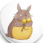 Тоторо и мимоза