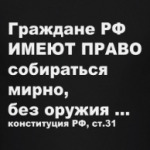 Конституция ст.31