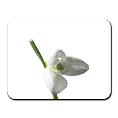 Коврик для мыши с принтом Весеннее настроение