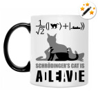 Котэ Шрёдингера