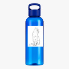 Прозрачная спортивная бутылка