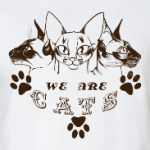 Кошачья красота