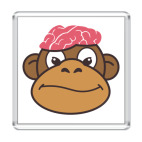  Обезьяньи мозги