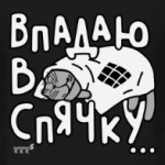 Впадаю в спячку.Котик.