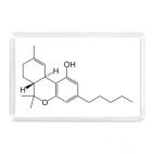 Асимметричный ответ ФСКН