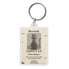  кот Шредингера