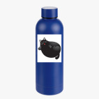 Термобутылка