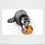 Енот с тыквой