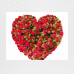 Сердце из роз