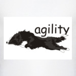 Аджилити