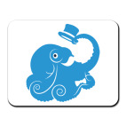 Сэр осьминог