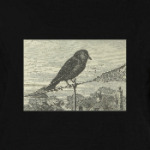 Галка на крыше (винтаж)