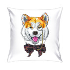 Собака хипстер Акита Ину