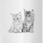 Котики