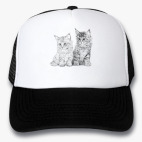 Кепки Trucker
