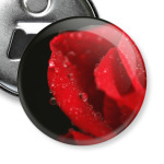 Романтичная роза