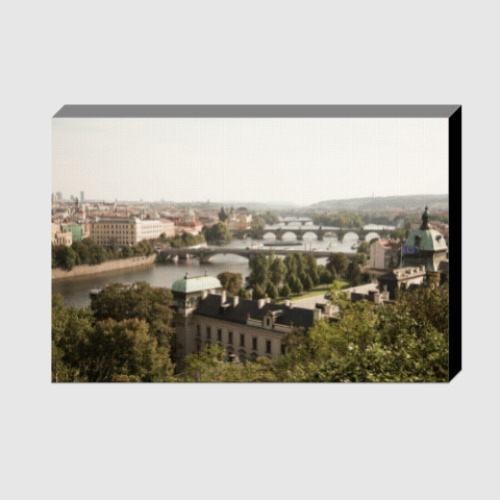 Холст с принтом 10-10-102-1017