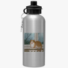 Спортивная бутылка