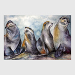 Тюлени. Акварель