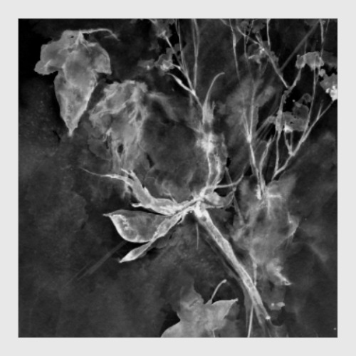 Постер с принтом Сонет