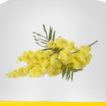 Весне навстречу