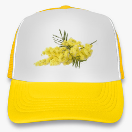 Кепка-тракер с принтом Весне навстречу