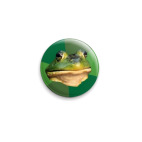  Жаба Холостяк