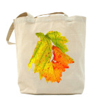 Прошедшая осень