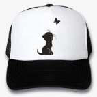 Кепки Trucker