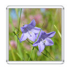 Магнит 6.5 x 6.5 см Колокольчики