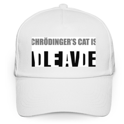 Кепка бейсболка с принтом Кот Шрендингера