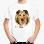 Шотландская овчарка Колли