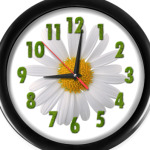 Ромашка и цифры из травы