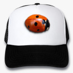 Кепки Trucker