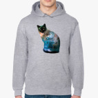 Котик космический