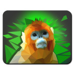 Синемордая обезьяна