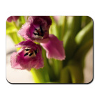 Коврик для мыши The Flower Shop