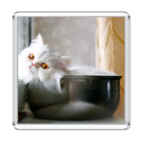 Магнит с принтом  'Белый Перс'