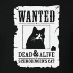 Кот Шрёдингера