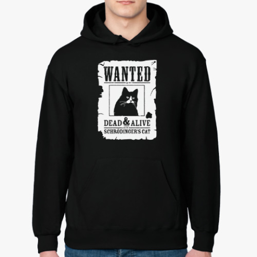 Толстовка худи с принтом Кот Шрёдингера