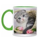 Кот в корзине