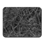 Коврик для мыши Скорлупа