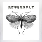Бабочка