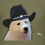 Самоедский Рейнджер