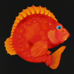 Морской окунь