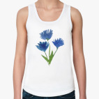 Василек полевой