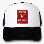 Кепки Trucker