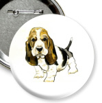  Бассет-хаунд